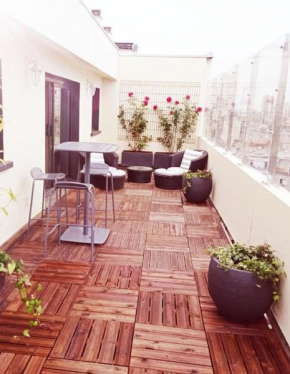 Top floor parisian apartment with terrace
